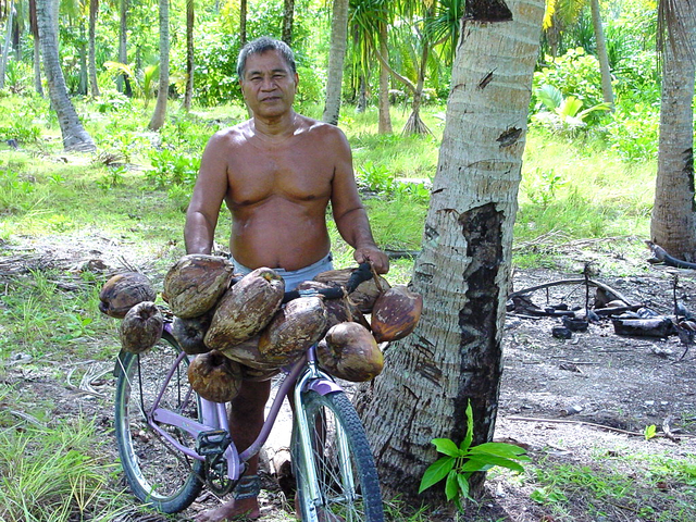 coconuts on bike